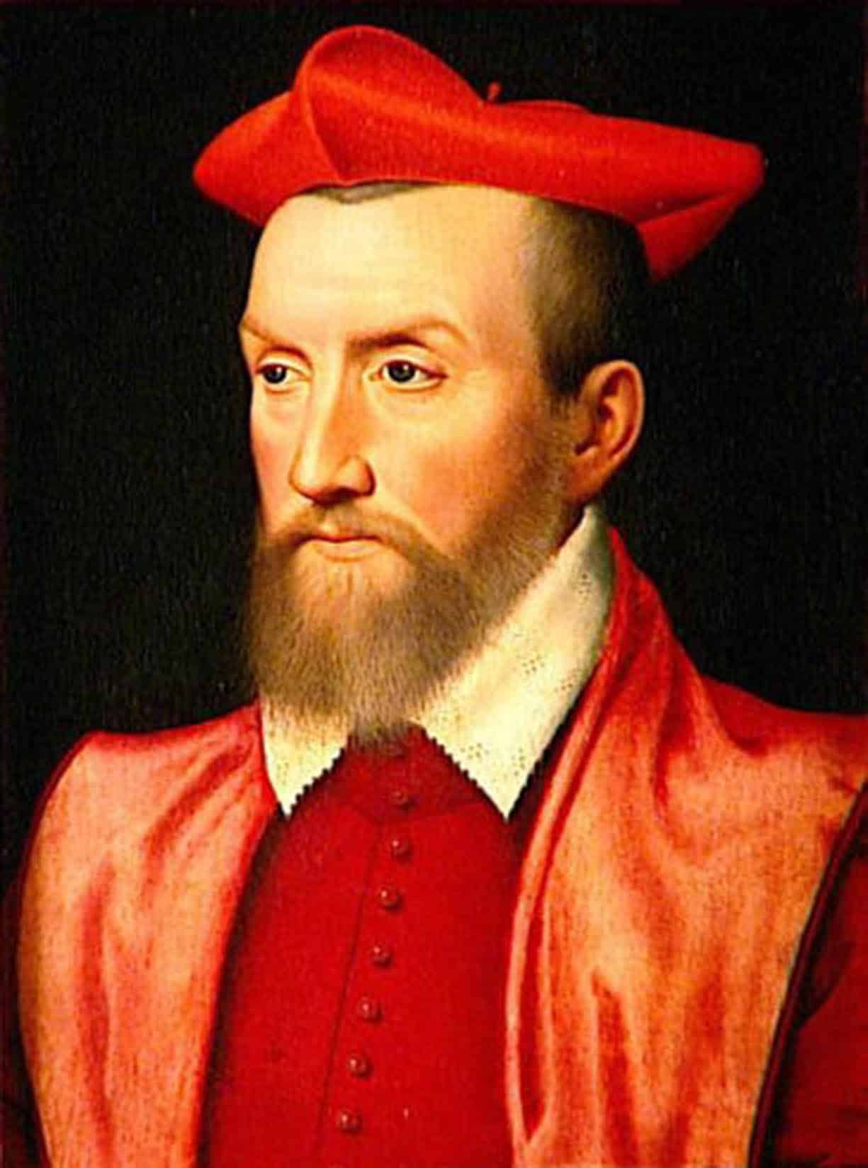 Odet de Coligny - Cardinal